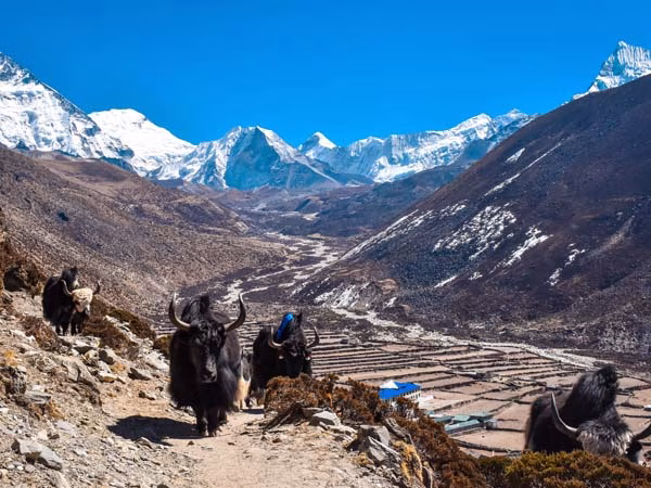Dingboche village with Nangkartshang Hill in the Khumbu region of Nepal