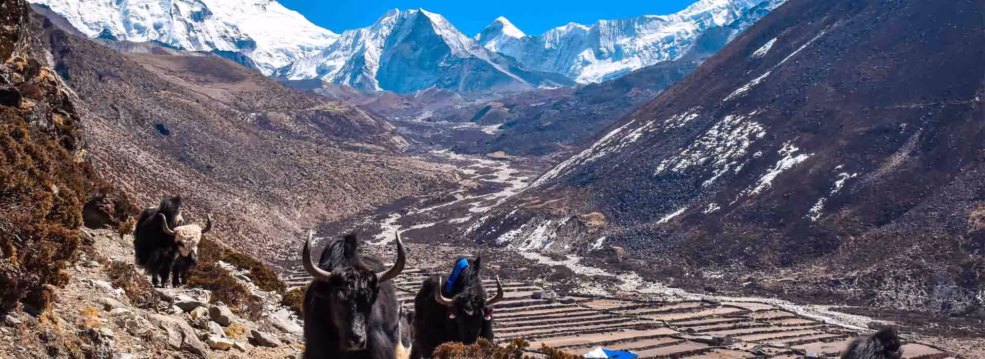 Dingboche village and Nangkartshang Hill in the Everest region of Nepal