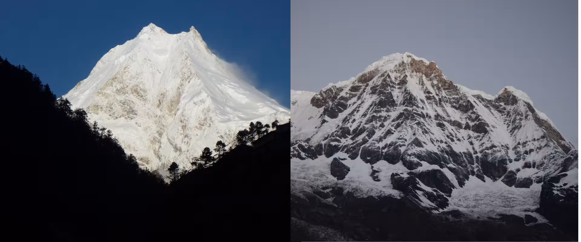 Manaslu Trek vs. Annapurna Trek
