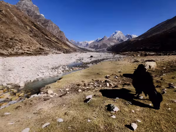 Pheriche Landing Spot