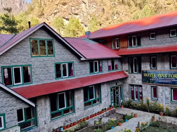 Hotel  Pine Forest
