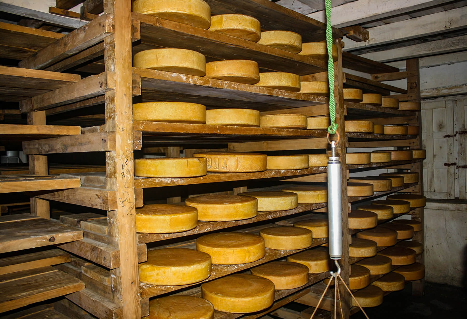 Yak Cheese from Langtang Cheese Factory