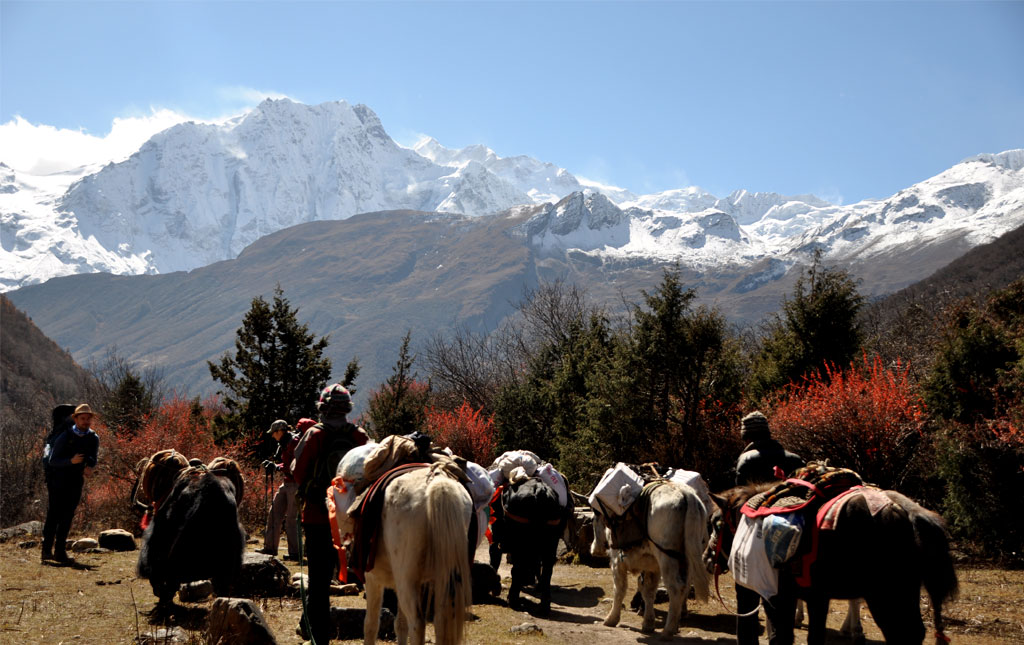Manaslu Circuit Trekking
